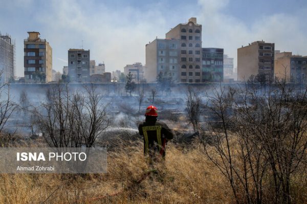 کاریکاتورهایی که آب روی آتش جنگل‌ها ریختند